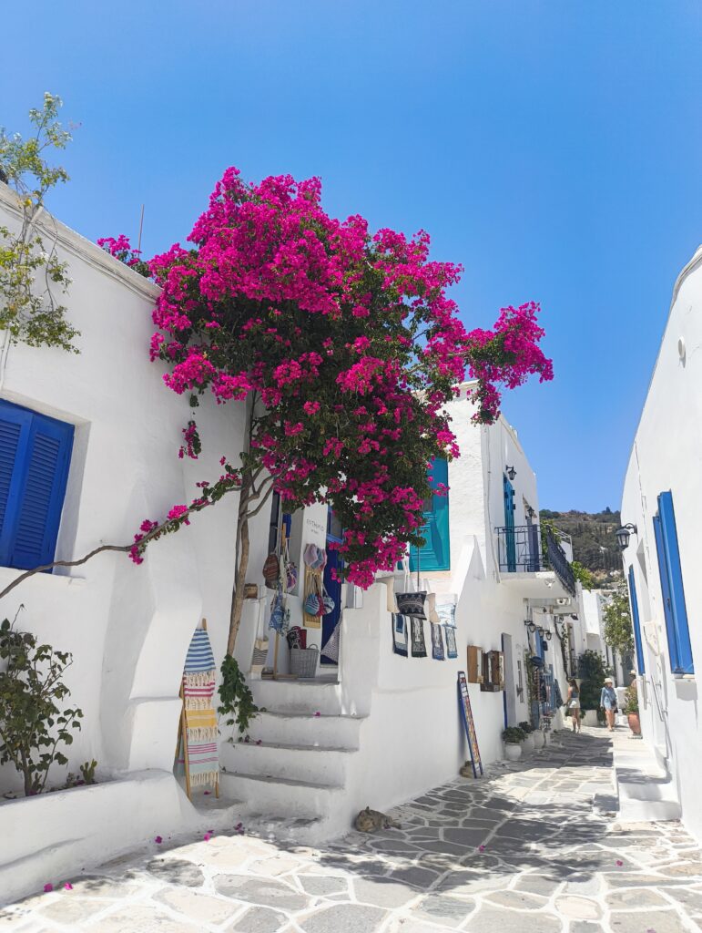 callejuela en Paros
